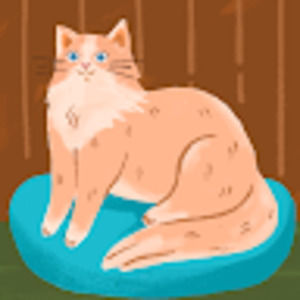 Meet your Posher, Pam